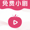 唯品电影无限制VIP版